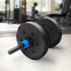 Plăci de greutate 4 pcs negru ø 21.5 x 3.8 cm