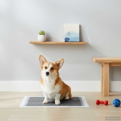 Pad pentru antrenament pentru animale din material textil nețesut 100 pcs