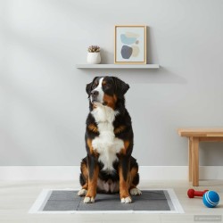 Pad pentru antrenament pentru animale din material textil nețesut 200 pcs