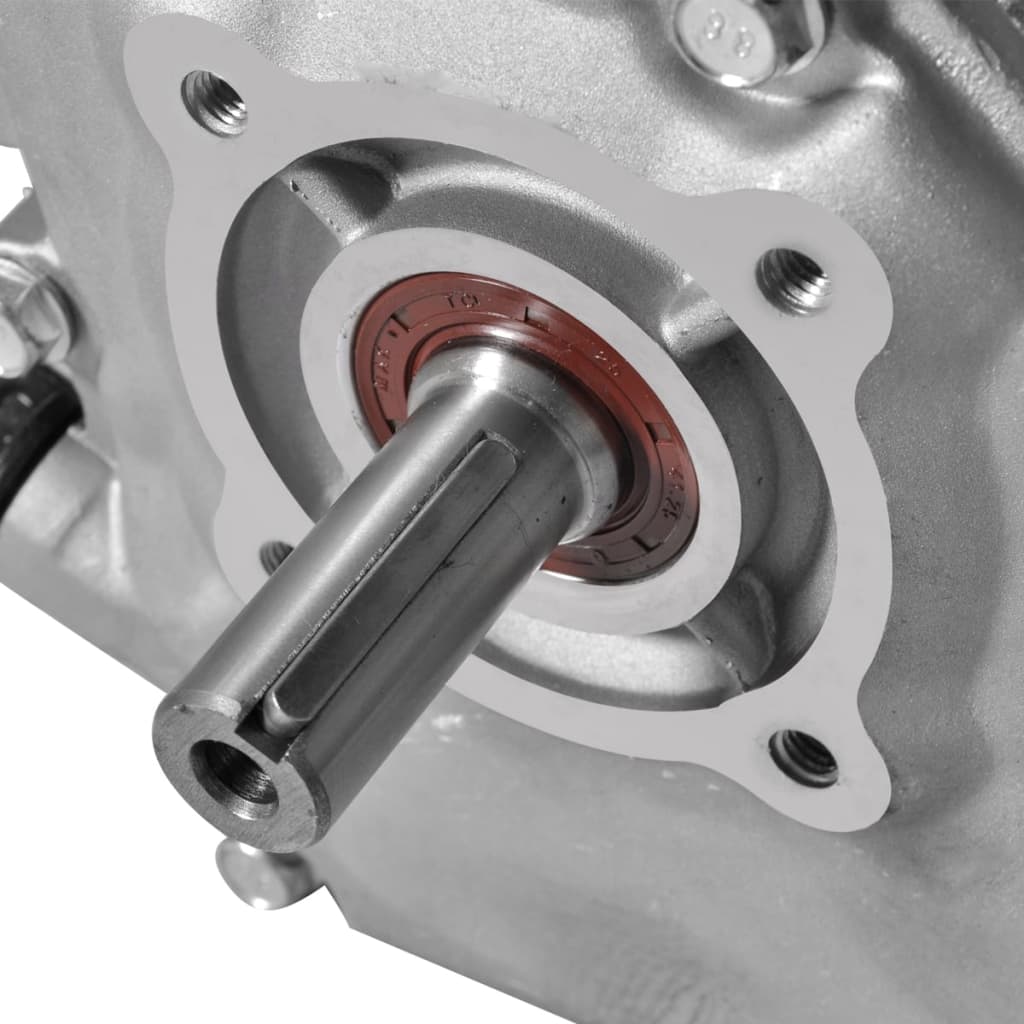 Motor pe benzină, negru, 6,5 cp, 4,8 kw